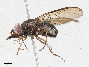  ( - CBG-A05407-C05)  @11 [ ] CreativeCommons - Attribution (2023) CBG Photography Group Centre for Biodiversity Genomics