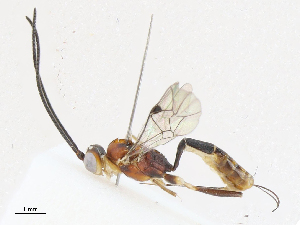  ( - CBG-A05411-E04)  @11 [ ] CreativeCommons - Attribution (2023) CBG Photography Group Centre for Biodiversity Genomics