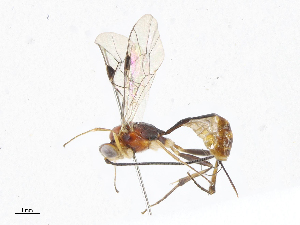  ( - CBG-A06214-A08)  @11 [ ] CreativeCommons - Attribution (2023) CBG Photography Group Centre for Biodiversity Genomics