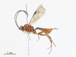  ( - CBG-A06214-B03)  @11 [ ] CreativeCommons - Attribution (2023) CBG Photography Group Centre for Biodiversity Genomics