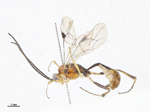  ( - CBG-A06214-B09)  @11 [ ] CreativeCommons - Attribution (2023) CBG Photography Group Centre for Biodiversity Genomics