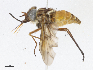  ( - CBG-A06214-F07)  @11 [ ] CreativeCommons - Attribution (2023) CBG Photography Group Centre for Biodiversity Genomics