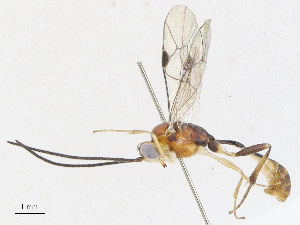  ( - CBG-A06218-E03)  @11 [ ] CreativeCommons - Attribution (2023) CBG Photography Group Centre for Biodiversity Genomics