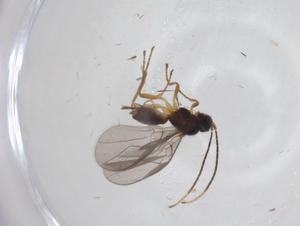  ( - CBG-A34388-F04)  @11 [ ] CreativeCommons - Attribution Share - Alike (2024) Centre for Biodiversity Genomics Centre for Biodiversity Genomics