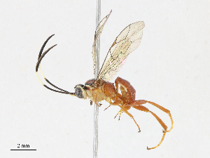  ( - CBG-A07038-E07)  @11 [ ] CreativeCommons - Attribution Share - Alike (2023) CBG Photography Group Centre for Biodiversity Genomics