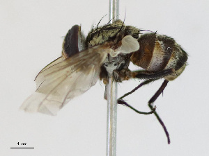  ( - CBG-A13286-A03)  @11 [ ] CreativeCommons - Attribution Share-Alike (2023) CBG Photography Group Centre for Biodiversity Genomics