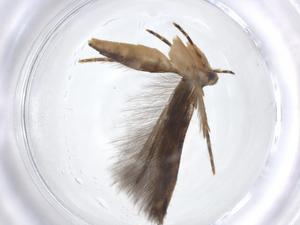  ( - CBG-A13420-H08)  @11 [ ] CreativeCommons - Attribution Share - Alike (2023) Centre for Biodiversity Genomics Centre for Biodiversity Genomics