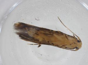  ( - CBG-A13781-F03)  @11 [ ] CreativeCommons - Attribution Share - Alike (2023) Centre for Biodiversity Genomics Centre for Biodiversity Genomics