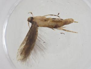  ( - CBG-A11887-B05)  @11 [ ] CreativeCommons - Attribution Share - Alike (2023) Centre for Biodiversity Genomics Centre for Biodiversity Genomics