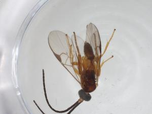  ( - CBG-A11894-C12)  @11 [ ] CreativeCommons - Attribution Share - Alike (2023) Centre for Biodiversity Genomics Centre for Biodiversity Genomics