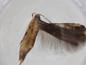  ( - CBG-A11894-F06)  @11 [ ] CreativeCommons - Attribution Share - Alike (2023) Centre for Biodiversity Genomics Centre for Biodiversity Genomics