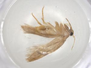  ( - CBG-A07207-F01)  @11 [ ] CreativeCommons - Attribution (2023) Centre for Biodiversity Genomics Centre for Biodiversity Genomics