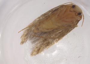  ( - CBG-A07222-B03)  @11 [ ] CreativeCommons - Attribution (2023) Centre for Biodiversity Genomics Centre for Biodiversity Genomics