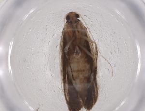  ( - CBG-A07231-D02)  @11 [ ] CreativeCommons - Attribution (2023) Centre for Biodiversity Genomics Centre for Biodiversity Genomics