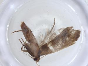  ( - CBG-A07252-C04)  @11 [ ] CreativeCommons - Attribution (2023) Centre for Biodiversity Genomics Centre for Biodiversity Genomics