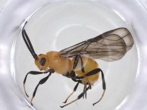  ( - CBG-A17224-D08)  @11 [ ] CreativeCommons - Attribution Share - Alike (2023) Centre for Biodiversity Genomics Centre for Biodiversity Genomics