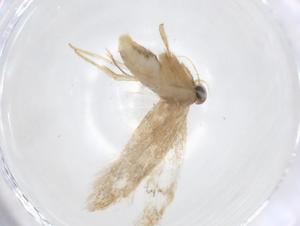  ( - CBG-A17226-F09)  @11 [ ] CreativeCommons - Attribution Share - Alike (2023) Centre for Biodiversity Genomics Centre for Biodiversity Genomics