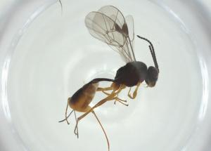  ( - CBG-A34646-C10)  @11 [ ] CreativeCommons - Attribution Share - Alike (2024) Centre for Biodiversity Genomics Centre for Biodiversity Genomics