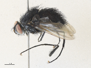  ( - CBG-A35181-B06)  @11 [ ] CreativeCommons - Attribution Share - Alike (2024) CBG Photography Group Centre for Biodiversity Genomics