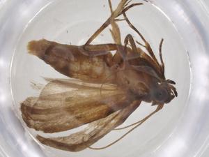  ( - CBG-A35992-F08)  @11 [ ] CreativeCommons - Attribution Share - Alike (2024) Centre for Biodiversity Genomics Centre for Biodiversity Genomics