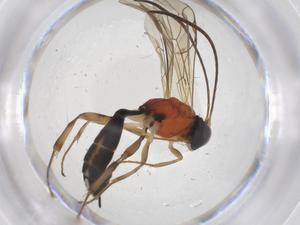  ( - CBG-A36955-F08)  @11 [ ] CreativeCommons - Attribution Share - Alike (2024) Centre for Biodiversity Genomics Centre for Biodiversity Genomics