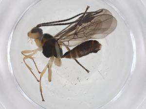  ( - CBG-A39292-D08)  @11 [ ] CreativeCommons - Attribution Share - Alike (2024) Centre for Biodiversity Genomics Centre for Biodiversity Genomics