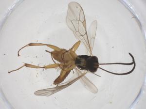  ( - CBG-A39345-F07)  @11 [ ] CreativeCommons - Attribution Share - Alike (2024) Centre for Biodiversity Genomics Centre for Biodiversity Genomics