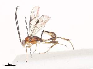  ( - CBG-A40236-E02)  @11 [ ] CreativeCommons - Attribution Share - Alike (2024) CBG Photography Group Centre for Biodiversity Genomics