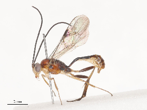  ( - CBG-A40240-D08)  @11 [ ] CreativeCommons - Attribution Share - Alike (2024) CBG Photography Group Centre for Biodiversity Genomics