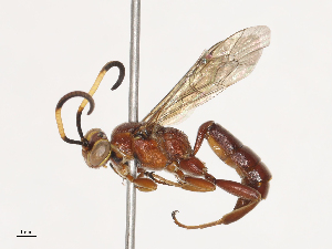  ( - CBG-A40194-F06)  @11 [ ] CreativeCommons - Attribution Share - Alike (2024) CBG Photography Group Centre for Biodiversity Genomics