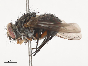  ( - CBG-A40195-C11)  @11 [ ] CreativeCommons - Attribution Share - Alike (2024) CBG Photography Group Centre for Biodiversity Genomics