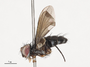  ( - CBG-A40195-D06)  @11 [ ] CreativeCommons - Attribution Share - Alike (2024) CBG Photography Group Centre for Biodiversity Genomics