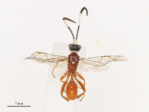  ( - CBG-A40220-F09)  @11 [ ] CreativeCommons - Attribution Share - Alike (2024) CBG Photography Group Centre for Biodiversity Genomics