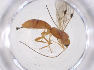  ( - CBG-A40430-G06)  @11 [ ] CreativeCommons - Attribution Share - Alike (2024) Centre for Biodiversity Genomics Centre for Biodiversity Genomics