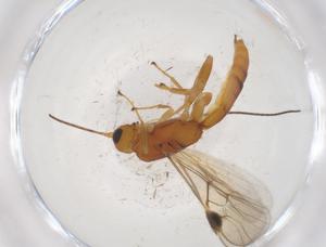  ( - CBG-A40440-B05)  @11 [ ] CreativeCommons - Attribution Share - Alike (2024) Centre for Biodiversity Genomics Centre for Biodiversity Genomics