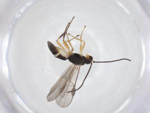  ( - CBG-A56689-F09)  @11 [ ] CreativeCommons - Attribution Share - Alike (2024) Centre for Biodiversity Genomics Centre for Biodiversity Genomics