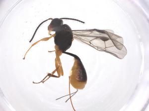  ( - CBG-A58392-E01)  @11 [ ] CreativeCommons - Attribution Share - Alike (2024) Centre for Biodiversity Genomics Centre for Biodiversity Genomics