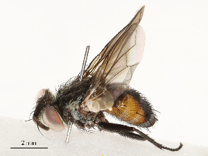  ( - CBG-A54416-F08)  @11 [ ] CreativeCommons - Attribution Share - Alike (2024) CBG Photography Group Centre for Biodiversity Genomics