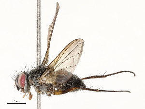  ( - CBG-A58625-E11)  @11 [ ] CreativeCommons - Attribution Share - Alike (2024) CBG Photography Group Centre for Biodiversity Genomics