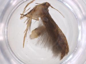  ( - CBG-A59226-H07)  @11 [ ] CreativeCommons - Attribution Share - Alike (2024) Centre for Biodiversity Genomics Centre for Biodiversity Genomics