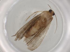  ( - BIOUG81967-A05)  @11 [ ] CreativeCommons - Attribution (2022) Centre for Biodiversity Genomics Centre for Biodiversity Genomics