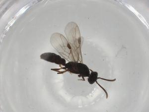  ( - BIOUG82055-E02)  @11 [ ] CreativeCommons - Attribution (2022) Centre for Biodiversity Genomics Centre for Biodiversity Genomics