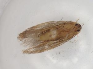  ( - BIOUG83292-C06)  @11 [ ] CreativeCommons - Attribution (2022) Centre for Biodiversity Genomics Centre for Biodiversity Genomics