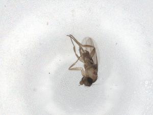  ( - BIOUG83895-F02)  @11 [ ] CreativeCommons - Attribution (2022) Centre for Biodiversity Genomics Centre for Biodiversity Genomics