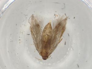  ( - BIOUG84273-G03)  @11 [ ] CreativeCommons - Attribution (2022) Centre for Biodiversity Genomics Centre for Biodiversity Genomics