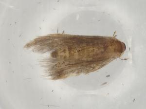  ( - BIOUG84273-G05)  @11 [ ] CreativeCommons - Attribution (2022) Centre for Biodiversity Genomics Centre for Biodiversity Genomics