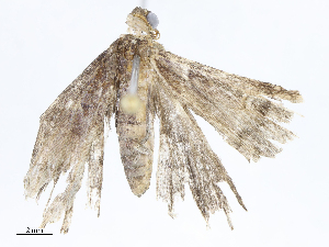  ( - CBG-A07076-B05)  @11 [ ] CreativeCommons - Attribution Share - Alike (2023) CBG Photography Group Centre for Biodiversity Genomics