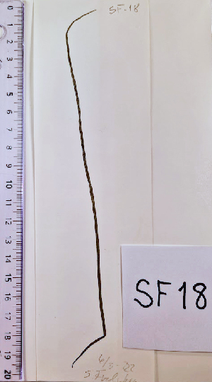  ( - SF18_ECTOCR)  @11 [ ] Creative Commons BY NC SA (2023) University of Bergen Natural History Collections