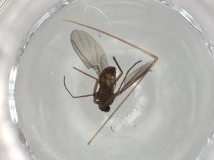  ( - BIOUG78648-G02)  @11 [ ] CreativeCommons - Attribution (2022) Centre for Biodiversity Genomics Centre for Biodiversity Genomics