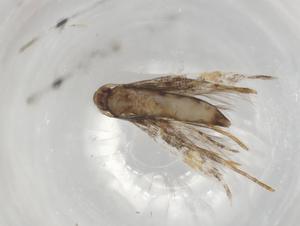  ( - BIOUG78978-H04)  @11 [ ] CreativeCommons - Attribution (2022) Centre for Biodiversity Genomics Centre for Biodiversity Genomics